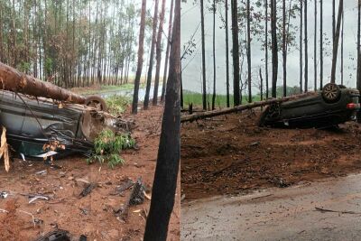 Imagem da notícia Carro sai da pista, derruba árvore e capota em estrada vicinal de Costa Rica